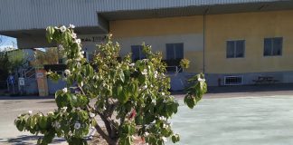 Sabato taglio del nastro per la nuova piazza del mercato contadino di Borgochiesanuova