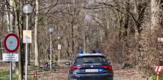 Tentata violenza nel parco Golena Po: arrestato un pregiudicato di 23 anni