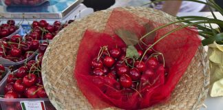 Ceresara, dal 1° al 4 giugno torna la Festa de la Saresa