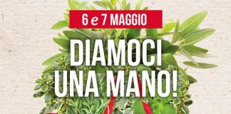 Sclerosi multipla, nel weekend in piazza le ‘Erbe aromatiche’ Aism
