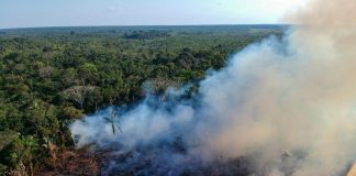 Gb, Sunak vede Lula: “80 milioni di sterline per l’Amazzonia”