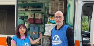 Alluvione: anche Ambulanze Veterinarie Azzurre Mantova in partenza per l’Emilia Romagna