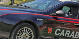 Furti di bici per 50mila euro da Mantova a Trento. Arrestato un ricettatore