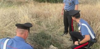 Trapani, neonato abbandonato in campagna a Paceco: arrestati baby genitori