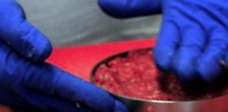 Eurispes, 1 italiano su 4 disposto a mangiare carne sintetica
