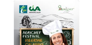 Food: tra patata della Sila Igp e caciocavallo il 16 maggio è ‘Agrichef Festival Calabria’