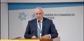 Sud, Algieri (Unioncamere): “Può essere seconda locomotiva del Paese, ma non va trascurato”
