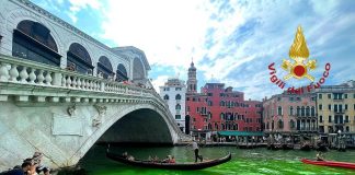 Venezia, acqua verde fosforescente sotto il ponte di Rialto