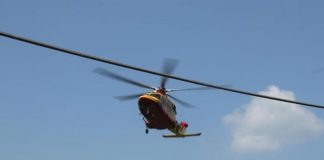 Nuovo infortunio sul lavoro, operaio 33enne muore schiacciato da albero nel bresciano