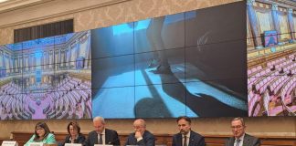 Sanità, lupus eritematoso sistemico: Manifesto in 5 punti per diritti pazienti