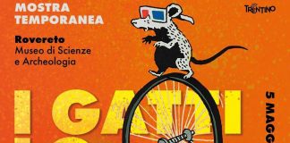 Animali, a Rovereto gli inaspettati e incredibili comportamenti dal mondo animale