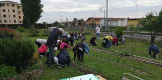 Orto solidale “Il Germoglio”: il Comune di Suzzara concede l’uso gratuito del terreno