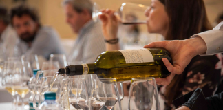 Vino, i Roero Days per la prima volta a Roma con 50 produttori e 300 etichette in degustazione
