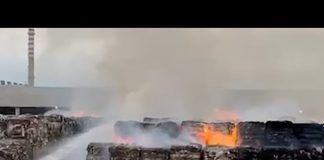 Incendio alla Cartiera di Pro-Gest: un fumo altissimo si leva dallo stabilimento. Allarme alle 4.40, non escluso il dolo