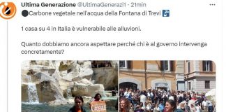 Blitz ambientalisti a Roma, carbone vegetale nella Fontana di Trevi