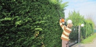 Confartigianato: parte la terza edizione del corso per manutentori del verde