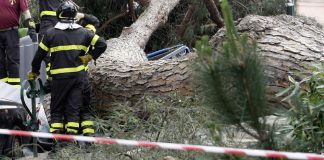 Reggio Calabria, vento a 100 Km all’ora: uomo muore travolto da un albero