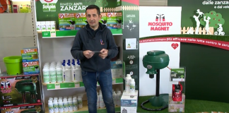 Lotta alle zanzare, tra repellenti, macchinari e pastiglie preventive. Ecco qualche consiglio