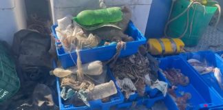 Più plastica che pesci, Marevivo “Non dobbiamo aspettare il 2050”