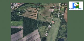 Donata al Parco del Mincio un’area di 6.703 mq nel cuore del Paiolo