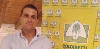 Giovani Impresa Coldiretti Mantova: Diego Remelli nuovo delegato provinciale