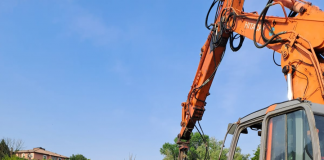 Parco del Mincio al lavoro per contenere la Ludwigia grandiflora