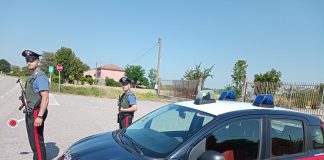 Spaccio, i carabinieri di Sustinente arrestano un 28enne. Trovato con 601 grammi di hashish