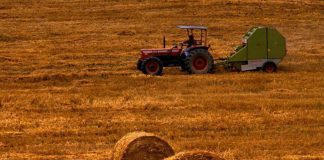 Agricoltura: Ifad, ‘promuoviamo cultura per nuove idee e spazi di collaborazione’