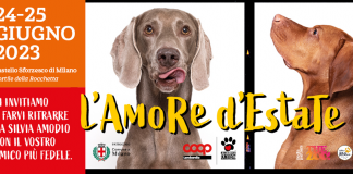 ‘Alimenta l’Amore’, set fotografico con l’amico a 4 zampe al Castello Sforzesco di Milano