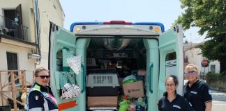 Ambulanze Veterinarie Azzurre: secondo carico di aiuti per la Romagna