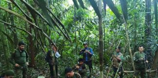 Colombia, 4 bambini sopravvissuti a incidente aereo: vivi dopo 40 giorni