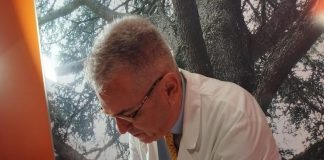 Business false intolleranze, l’immunologo: “4 milioni di esami fasulli in un anno, fenomeno in espansione”