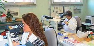 Ricerca: nuova tecnica per diagnosi celiachia ‘nascosta’, studio Napoli