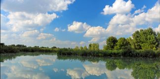 “Ben-essere in natura”: domenica tanti eventi alla riserva naturale Paludi di Ostiglia