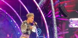 Pink, concerto ‘col morto’: fan lancia le ceneri della madre – Video