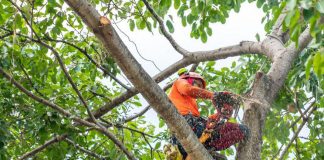 Infortuni, Hse: “Dal potatore al pilota i lavori più pericolosi, ecco il decalogo a prova di rischio”