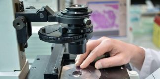 Tumori, arriva ‘Curamy’, piattaforma che facilita ricerca su mieloma multiplo