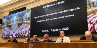 Aborto, Rapporto Opa: “Aumenta farmacologico, 60 mln spesi in un anno, serve sistema sorveglianza”