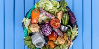 Ogni famiglia italiana spreca 20 kg di cibo all’anno, come evitarlo: il decalogo