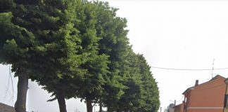 Sabbioneta: da lunedì i lavori di messa in sicurezza dei “Viali delle Rimembranze”