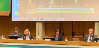 L’Europa punta sull’Open Science, Carrozza (Cnr): “Investimento ingente”