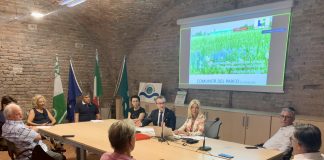 Parco del Mincio, ok al documento di programmazione 2024-2026: progetti in corso per 10 milioni