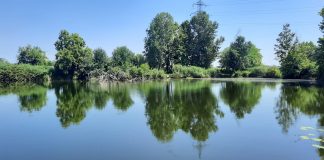 Al via domani il Festival del Benessere in Natura nel Parco del Mincio