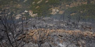 Incendi in Algeria, si aggrava il bilancio dei morti: sono 40