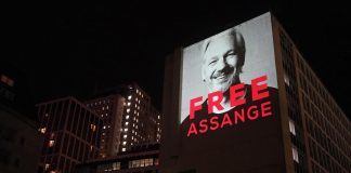 Juliane Assange, Blinken: “Estradizione necessaria, rischiato danno grave agli Usa”