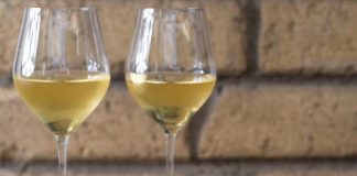 Mozzarella Dop, al via tour d’Italia alla ricerca dei migliori vini da abbinare alla bufala campana