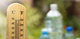 Caldo Italia, oggi temperature record: bollino rosso in 16 città
