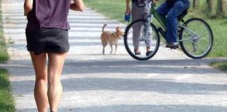 Milano, violentata mentre fa jogging: fermato pusher