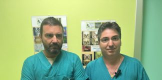 Mandibola fuori uso per le botte, protesi salva 16enne a L’Aquila