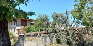 Grandinata Viadana, il Comune valuta di chiedere lo stato di calamità